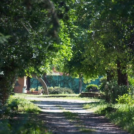 La Villa Delle Rose Ρώμη Εξωτερικό φωτογραφία