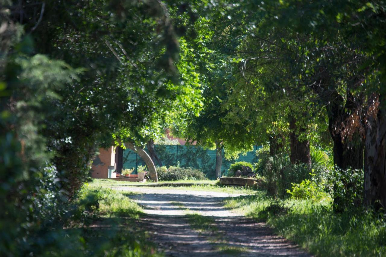 La Villa Delle Rose Ρώμη Εξωτερικό φωτογραφία
